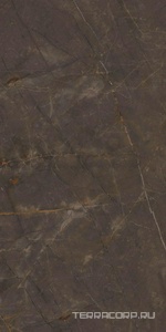 Керамогранит Ariostea Marmi Classici Pulpis Grey Soft 60x120 Серый 