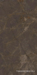 Керамогранит Ariostea Marmi Classici Pulpis Grey Soft 60x120 Серый 