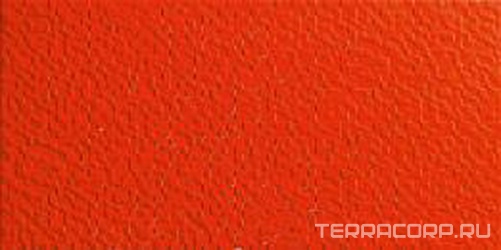 Sinfonia Rojo XX |25x50