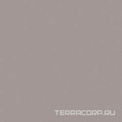 Rainbow RW03 серый неполир.ZZ 60x60