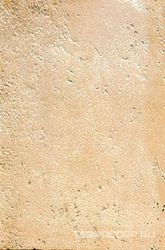 Abbadia (argenteo) XX |31.7x48