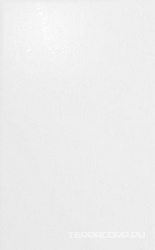 Камея белый XX l25х40