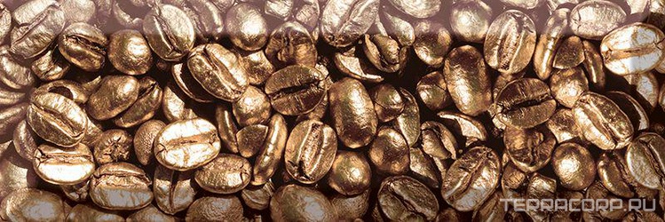 Керамическая плитка Absolut Keramika Monocolor 10x30 Decor Coffee Beans 01 10x30 Комбинированный 