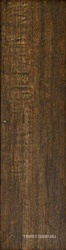 Branch Walnut Nat XX |15.70x59.20