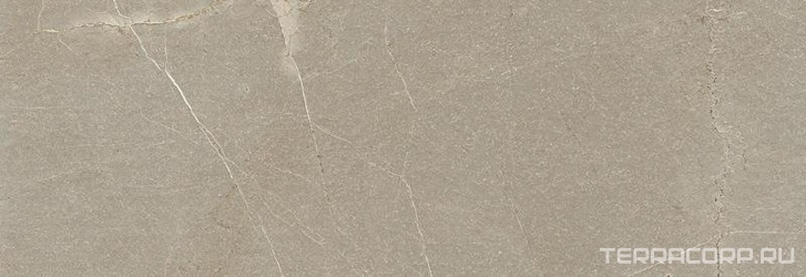 Baltimore Tortora rect. XX.|31.6x90