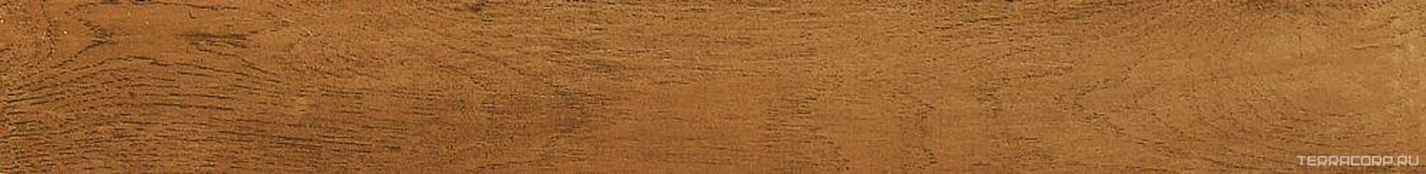 Rovere Biondo XX |11x90