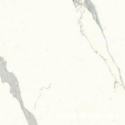 Statuario Ultra Lucidato (Shiny) 6 mm ZZ |75x75
