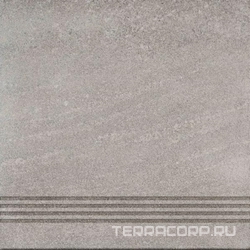 Грес Energy NG01 ступень ZZ |30x60