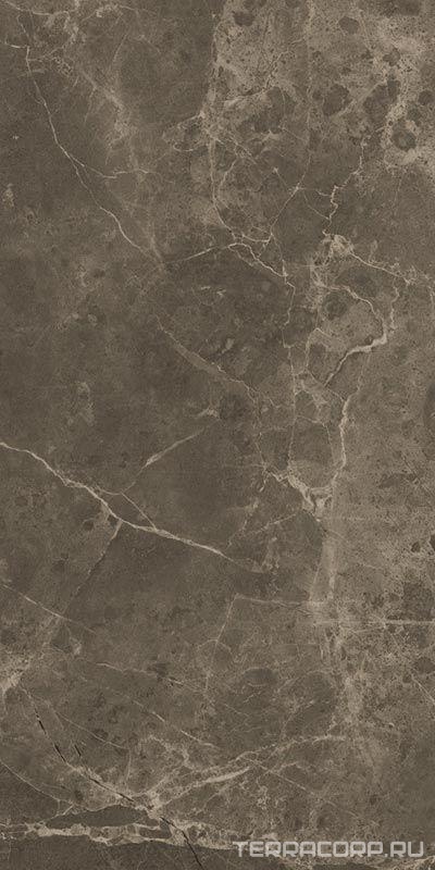 Керамогранит FAP Ceramiche Roma Imperiale Matt RT 30x60 Коричневый, фото 3
