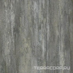 Old Tjikko XX|33.3x33.3