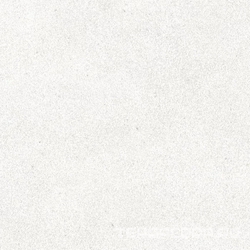 Longo white PG 01 XX|20x20