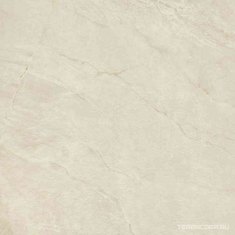 Muse 60W ZZ|60x60