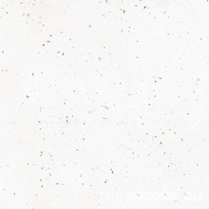 Керамогранит Grasaro Granella Керамогранит  G-40 антискольж.мат. белый 60x60 Белый 