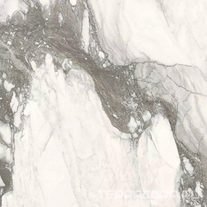 Керамогранит Florim Etoile de Rex Etoile Renoir Matte 60x60 Серый 