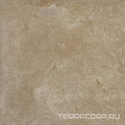 Reine Walnut |60x60