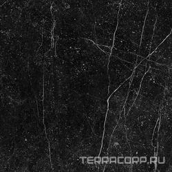 Genus Gold 60N LP Lap (п.п.) ZZ |60x60