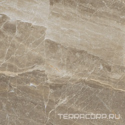 Kashmir Taupe Compacglass (п.п.) ZZ |60x60