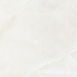 Аида серый гр. XX |50,2х50,2