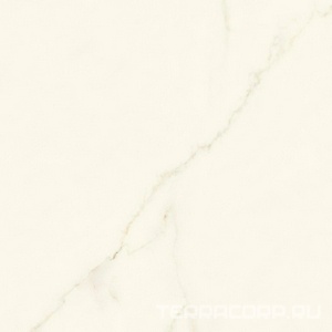 Керамогранит Atlas Concorde Italy Marvel X Marvel Calacatta Apuano Silk 120x120 Белый 
