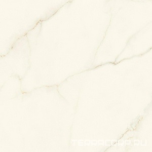 Керамогранит Atlas Concorde Italy Marvel X Marvel Calacatta Apuano Silk 120x120 Белый 