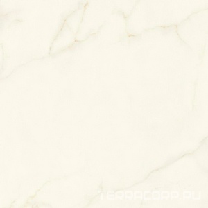 Керамогранит Atlas Concorde Italy Marvel X Marvel Calacatta Apuano Silk 120x120 Белый 