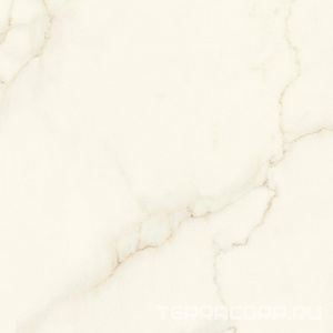 Керамогранит Atlas Concorde Italy Marvel X Marvel Calacatta Apuano Silk 120x120 Белый 