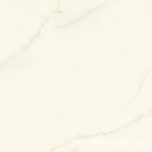 Керамогранит Atlas Concorde Italy Marvel X Marvel Calacatta Apuano Silk 120x120 Белый 
