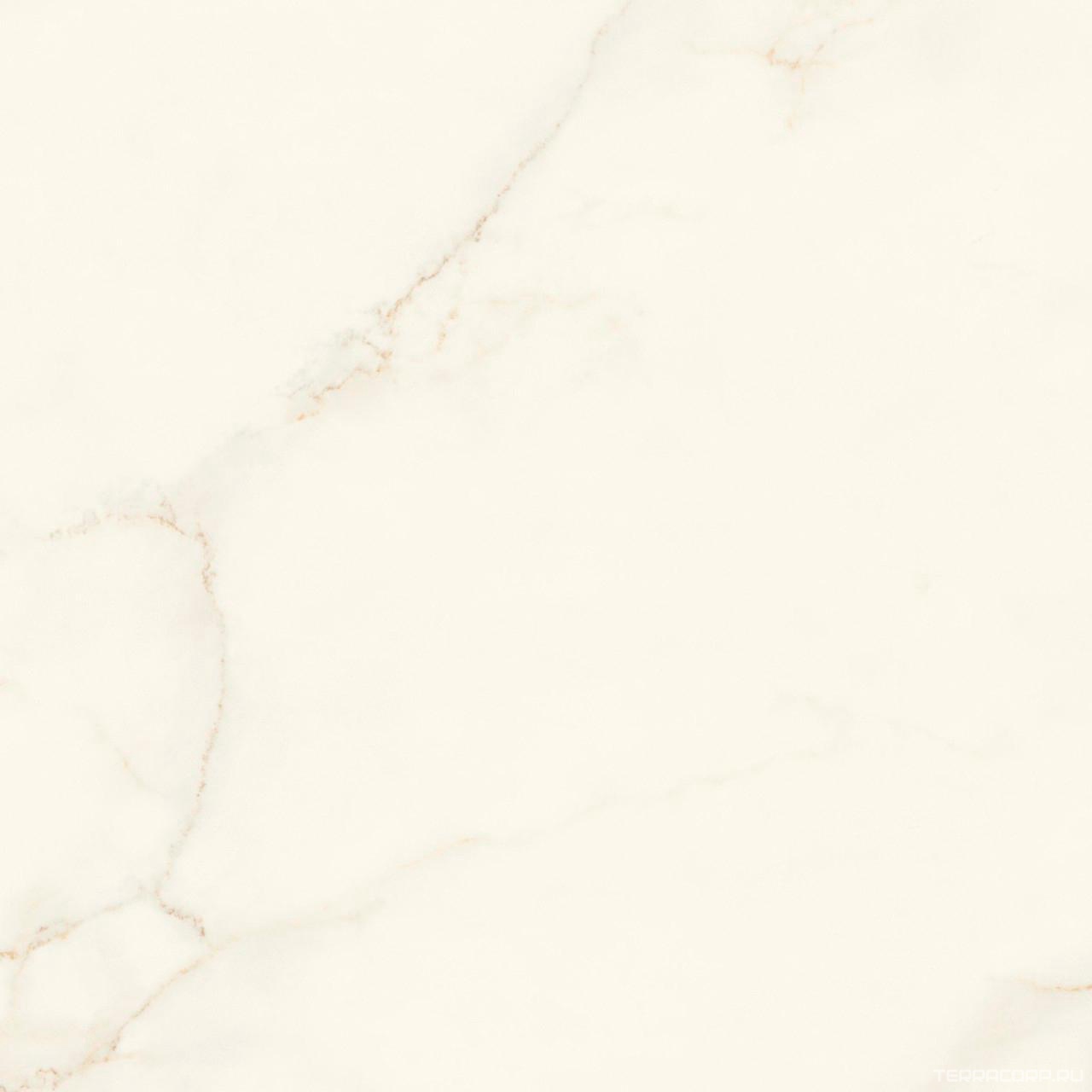 Керамогранит Atlas Concorde Italy Marvel X Marvel Calacatta Apuano Silk 120x120 Белый, фото 7