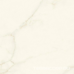 Marvel Calacatta Apuano Silk ZZ 120x120