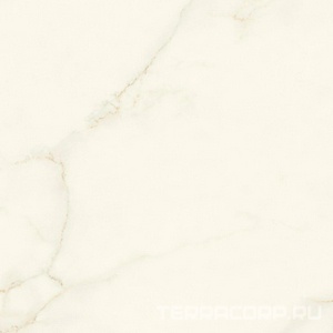 Керамогранит Atlas Concorde Italy Marvel X Marvel Calacatta Apuano Silk 120x120 Белый 