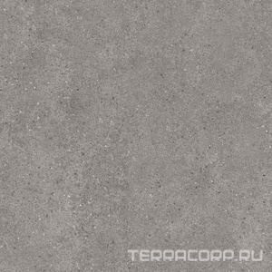 Керамогранит Kerama Marazzi Фондамента  серый обрезной60х60 Серый 