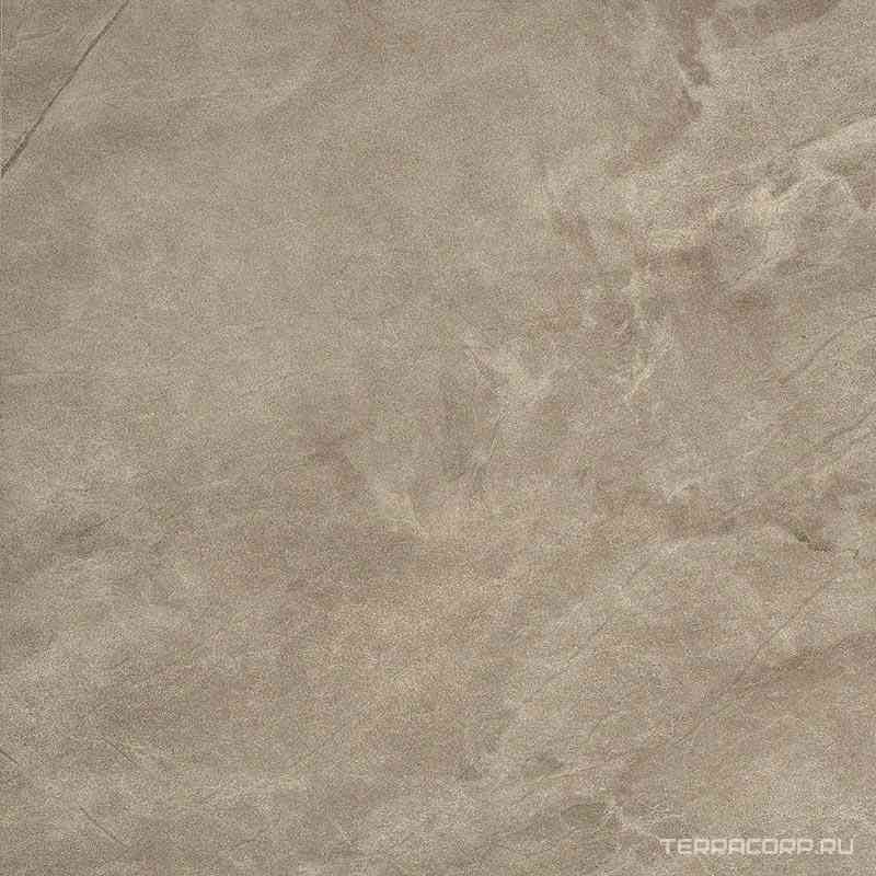Muse 60BG LP ZZ|60x60