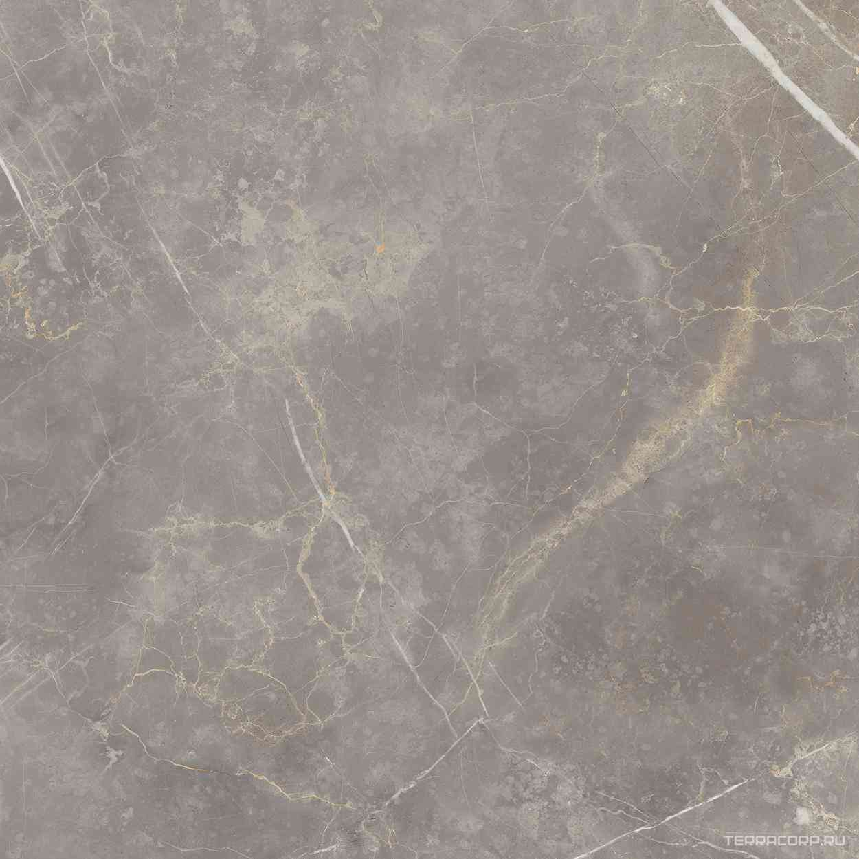 Grigio Imperiale Lev Rett (п.п) ZZ |60x60