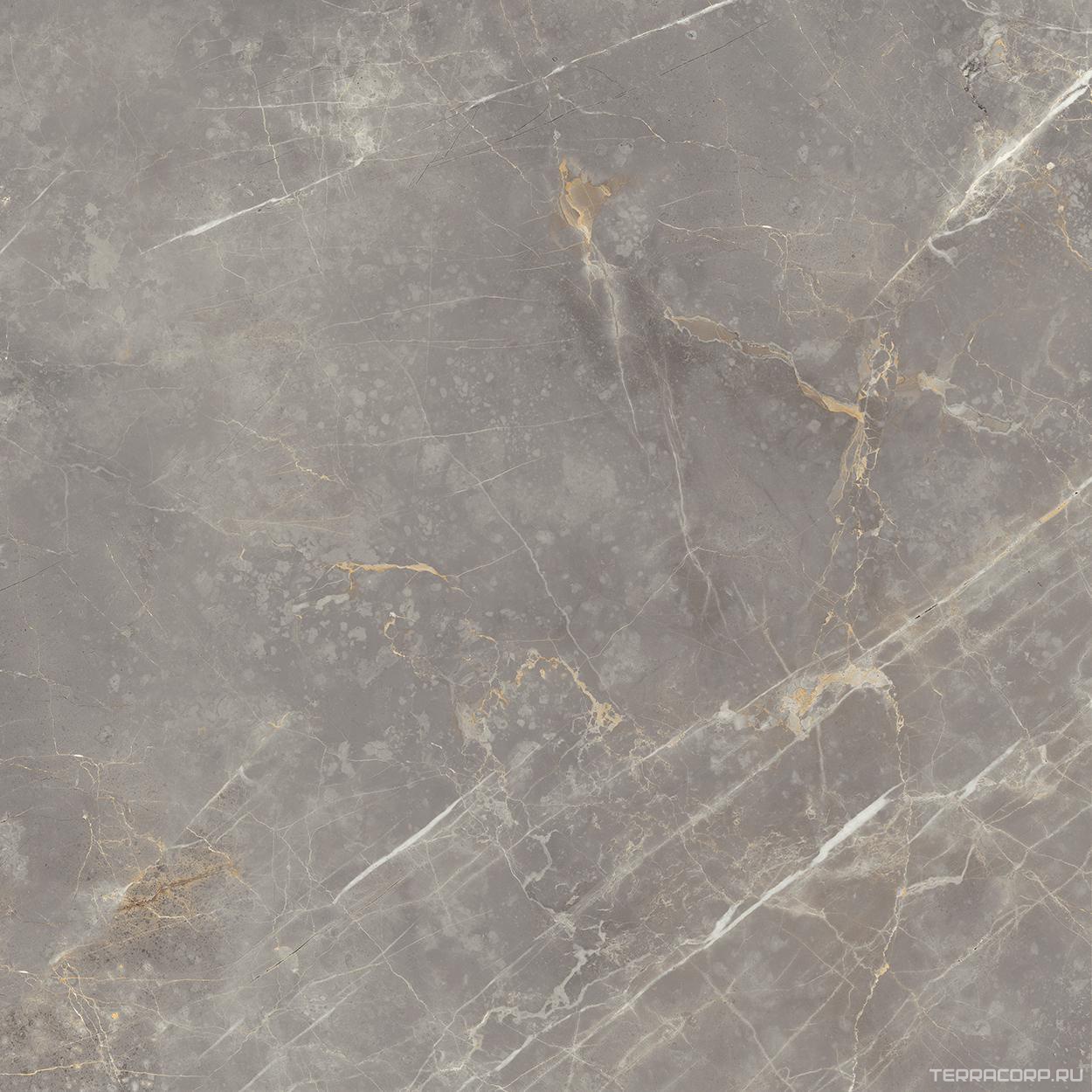Керамогранит Fioranese Marmorea Grigio Imperiale Lev Rett (п.п) 60x60 Серый, фото 4