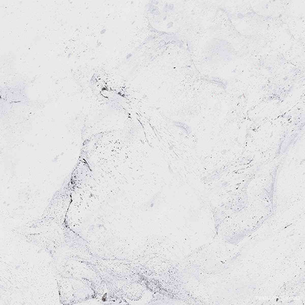 Керамогранит Inverno white PG 01 ZZ|60x60