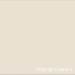 Time Beige XX |41.5x41.5