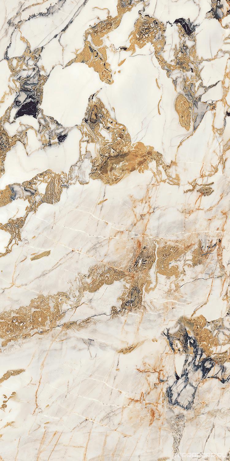 Керамогранит Florim Magnum Etoile De Rex Etoile Symphonie Glossy 60х120 Комбинированный, фото 6