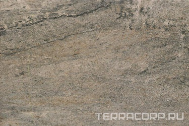 Oyster Gris XX |40x60