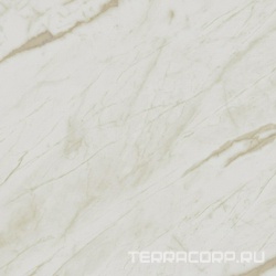 Unigue Calacatta Lap Rett XX |80x80