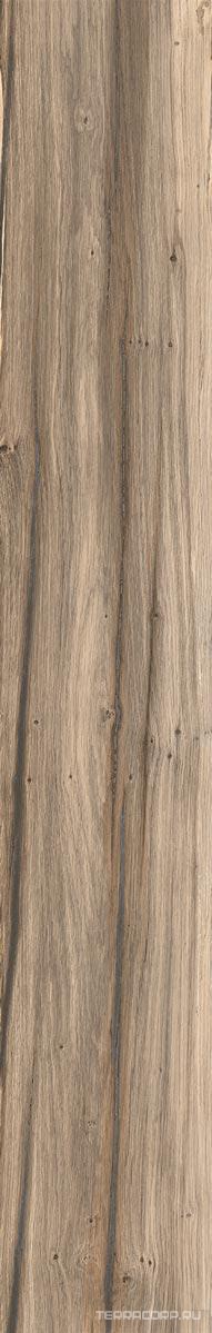 Керамогранит Gardenia Orchidea Just Venice Beige Scuro Nat 16x100 Коричневый, фото 6