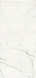 STA VP6 260 RM  |120x260 XX