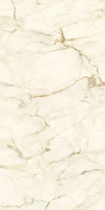 Керамогранит Ariostea Marmi Classici Calacatta Macchia Vecchia Luc 60x120 Белый 