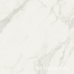 Bianco Statuario Lev Rett (п.п) ZZ |60x60