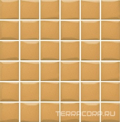 Анвер рыжий XX |30.1х30.1