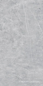 Керамогранит Estima Vision  02 grey неполир. 60х120 XX Серый 