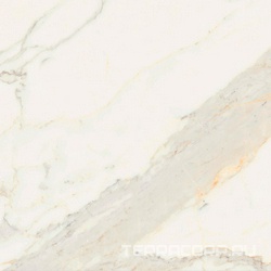 Bianco Calacatta Lev Rett (п.п) ZZ |60x60