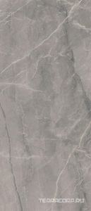 Керамогранит Lea Ceramiche Noblesse Gray Marble Lev ZZ120x278 Серый 