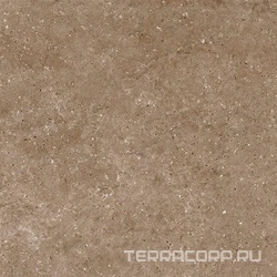 Arkaim Brown G214/Аркаим коричневый мат . 60x60
