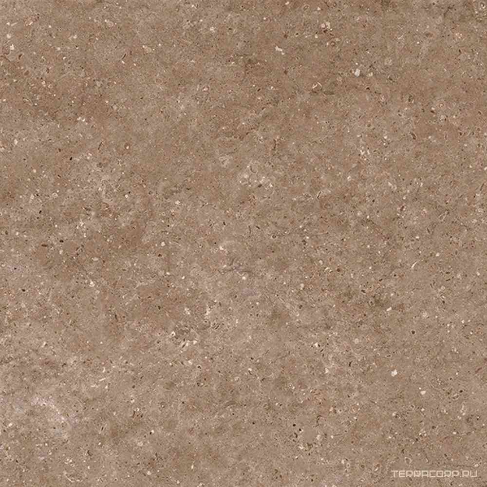 Arkaim Brown G214/Аркаим коричневый мат . 60x60