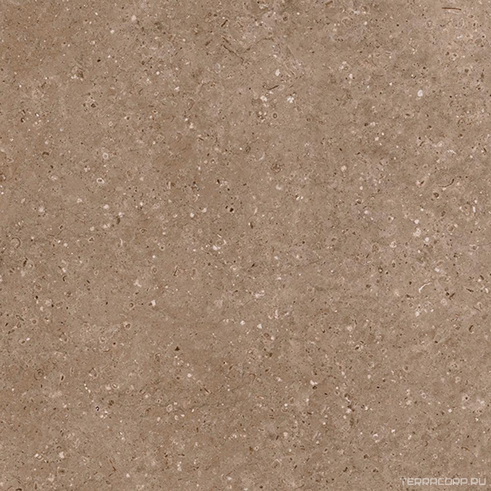 Керамогранит Гранитея Аркаим Arkaim Brown G214/ коричневый мат . 60x60 Коричневый, фото 5